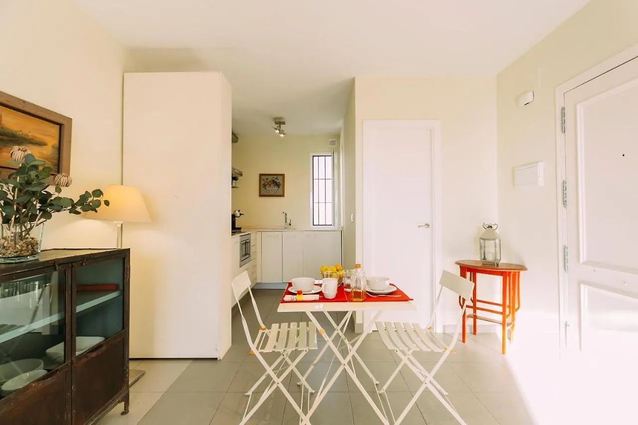 Ático con terraza en el centro de Sevilla Apartamento